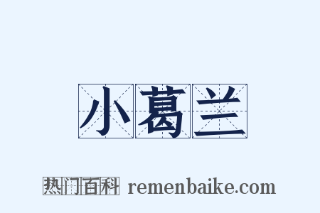 小葛兰是什么意思的图片